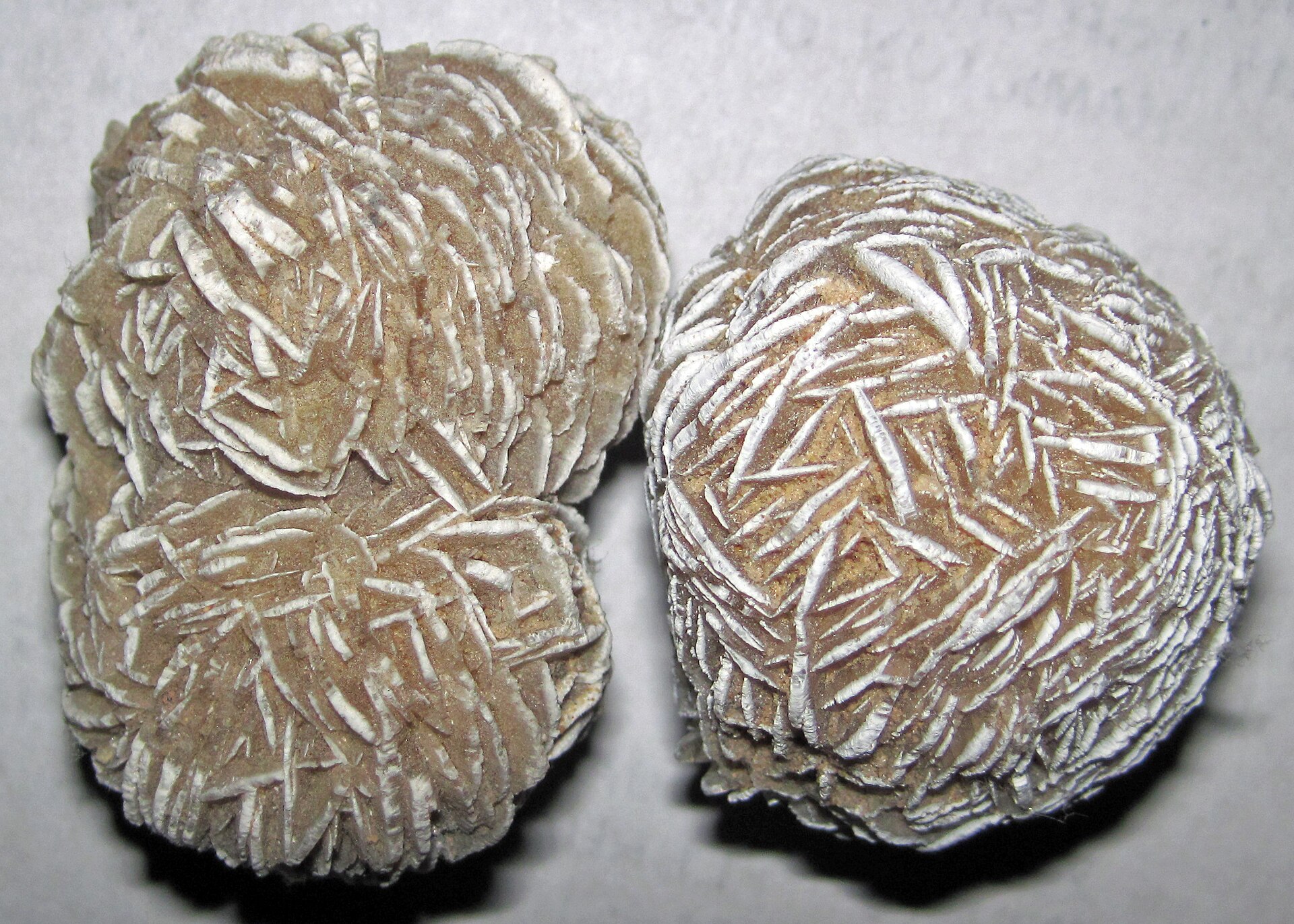 Desert Rose Selenite